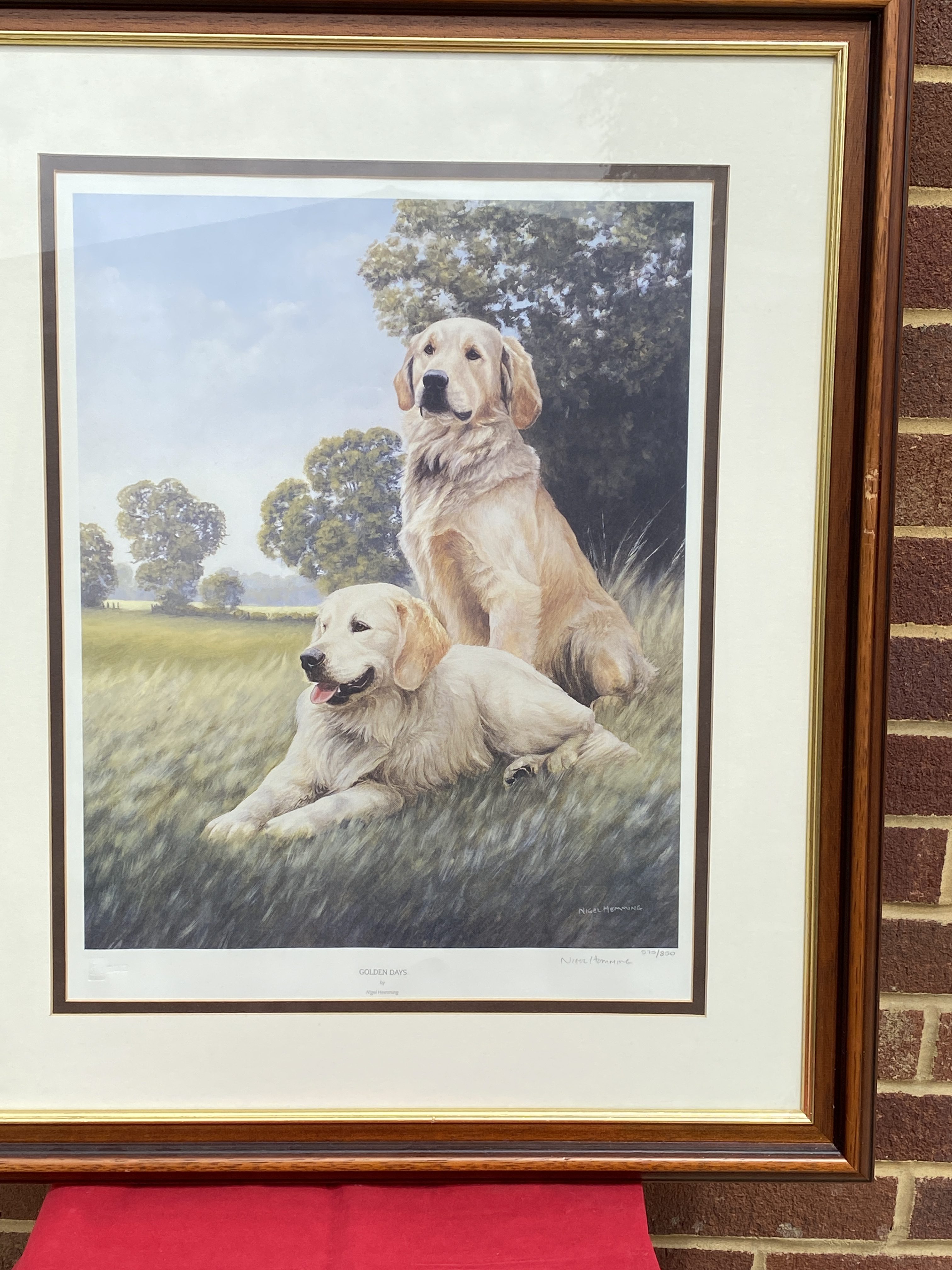 limited edition print of golden retrievers titled "Golden Days" by Nigel Hemming. (1281) - Image 3