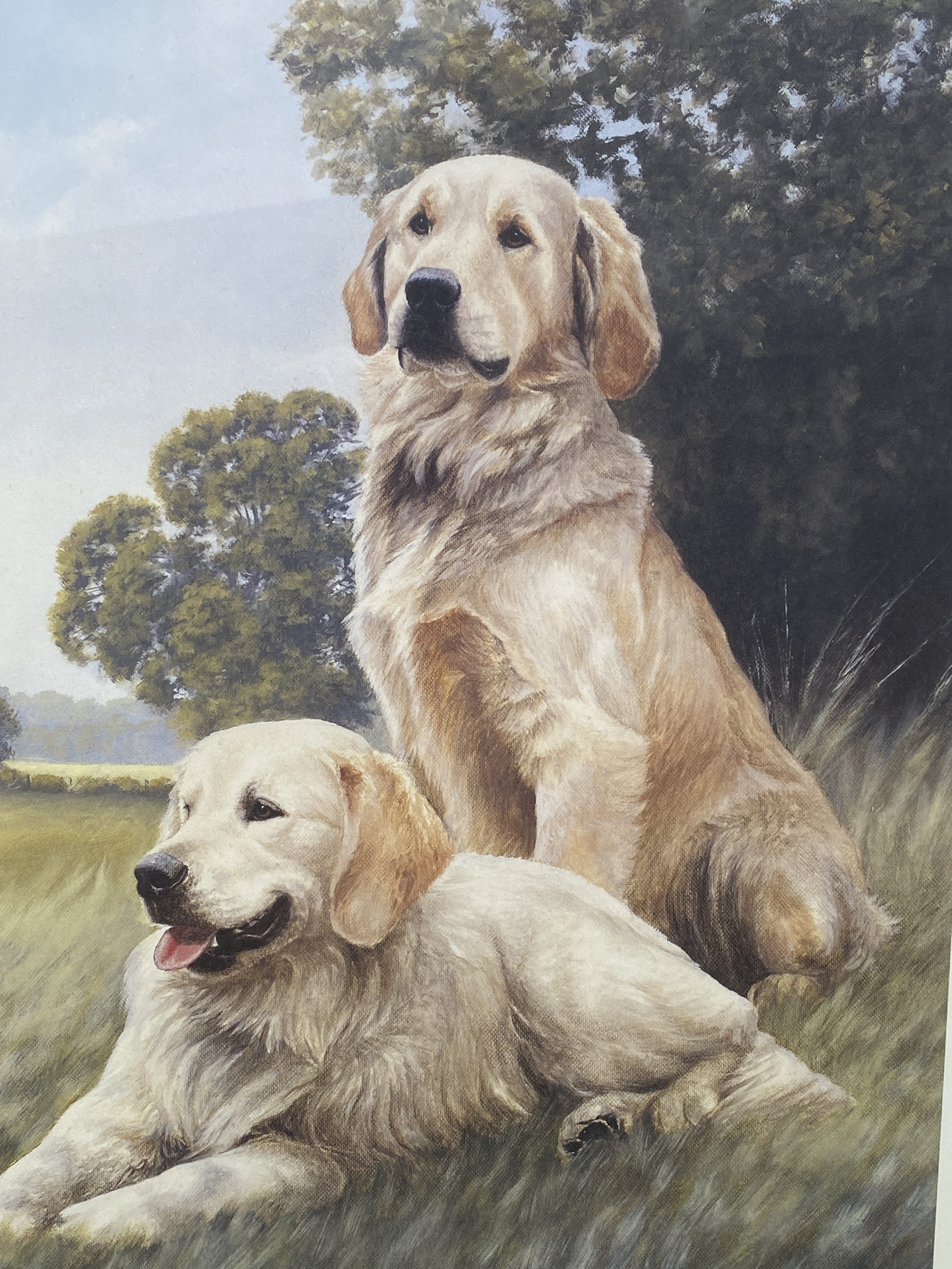 limited edition print of golden retrievers titled "Golden Days" by Nigel Hemming. (1281) - Image 11