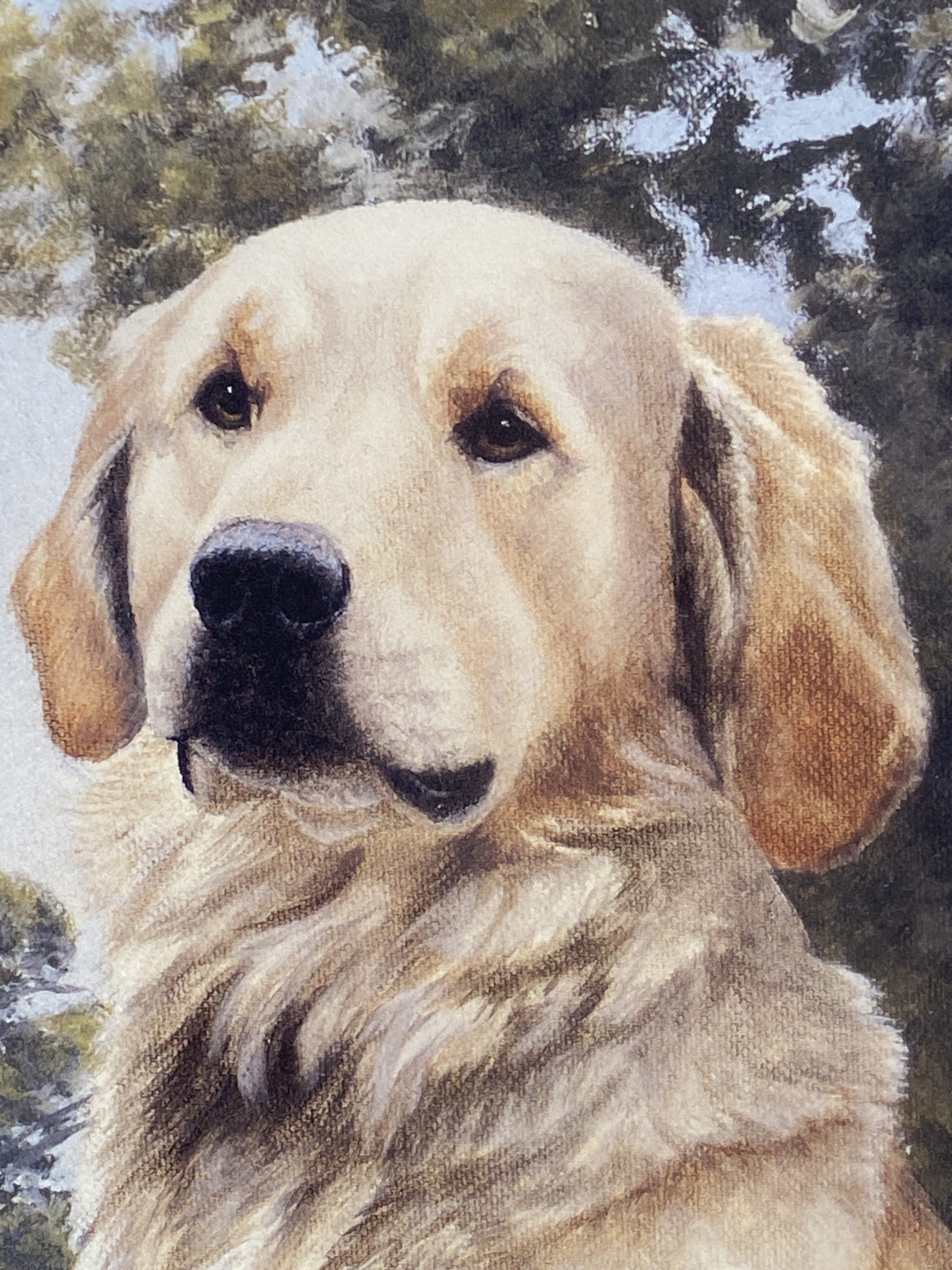 limited edition print of golden retrievers titled "Golden Days" by Nigel Hemming. (1281) - Image 7