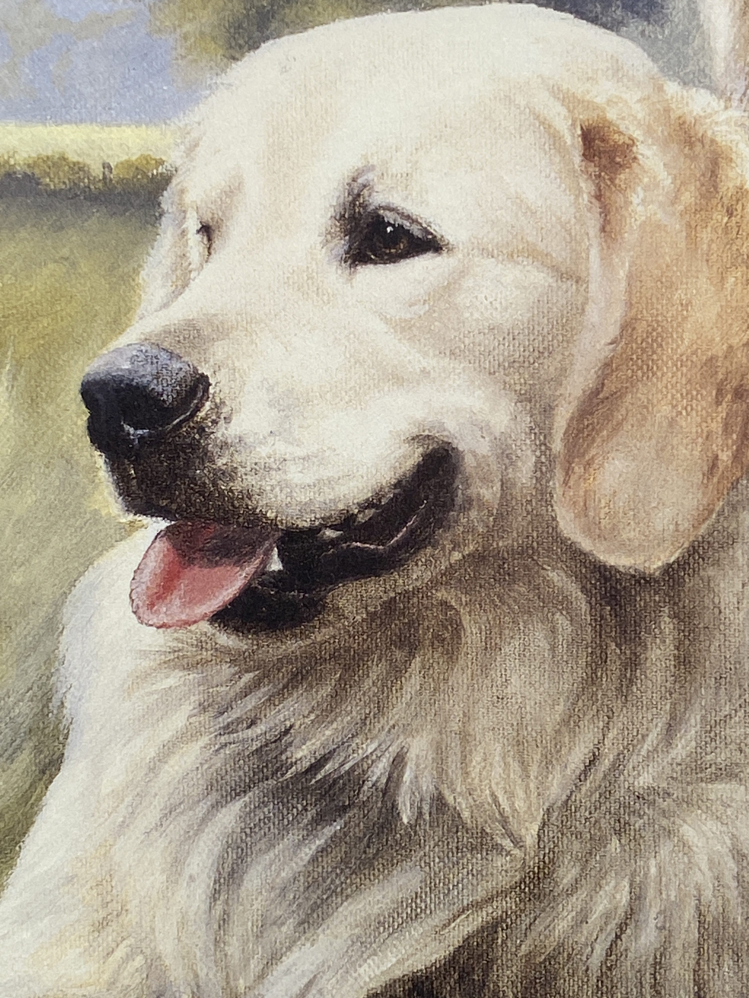 limited edition print of golden retrievers titled "Golden Days" by Nigel Hemming. (1281) - Image 6