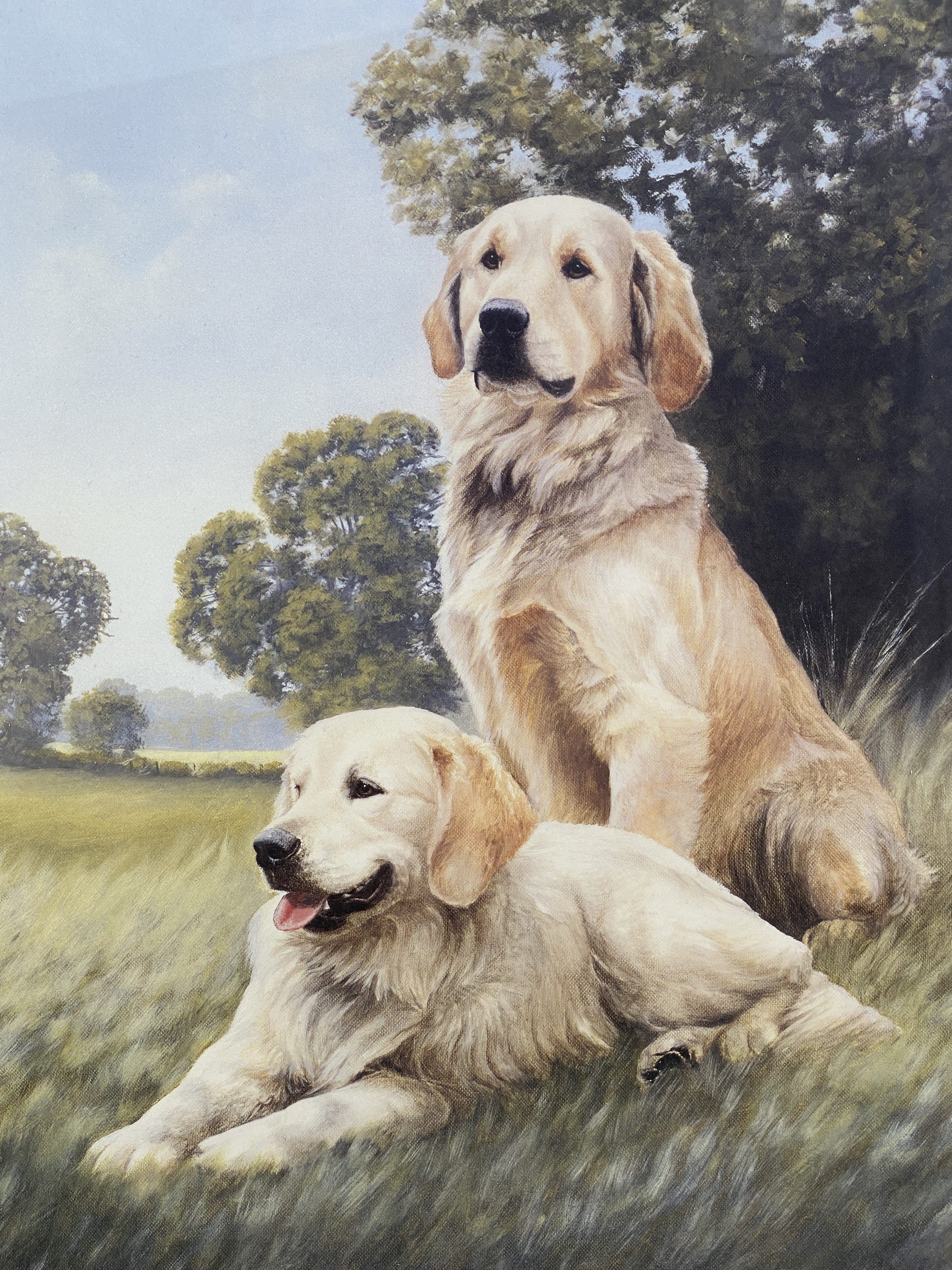 limited edition print of golden retrievers titled "Golden Days" by Nigel Hemming. (1281) - Image 5