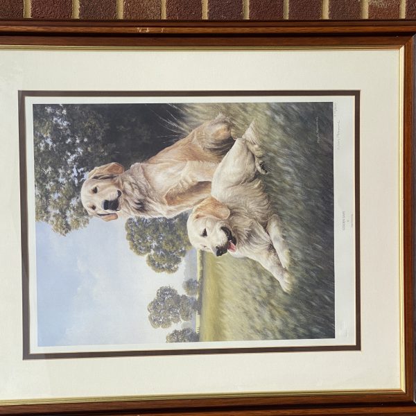 limited edition print of golden retrievers titled "Golden Days" by Nigel Hemming.   (1281)