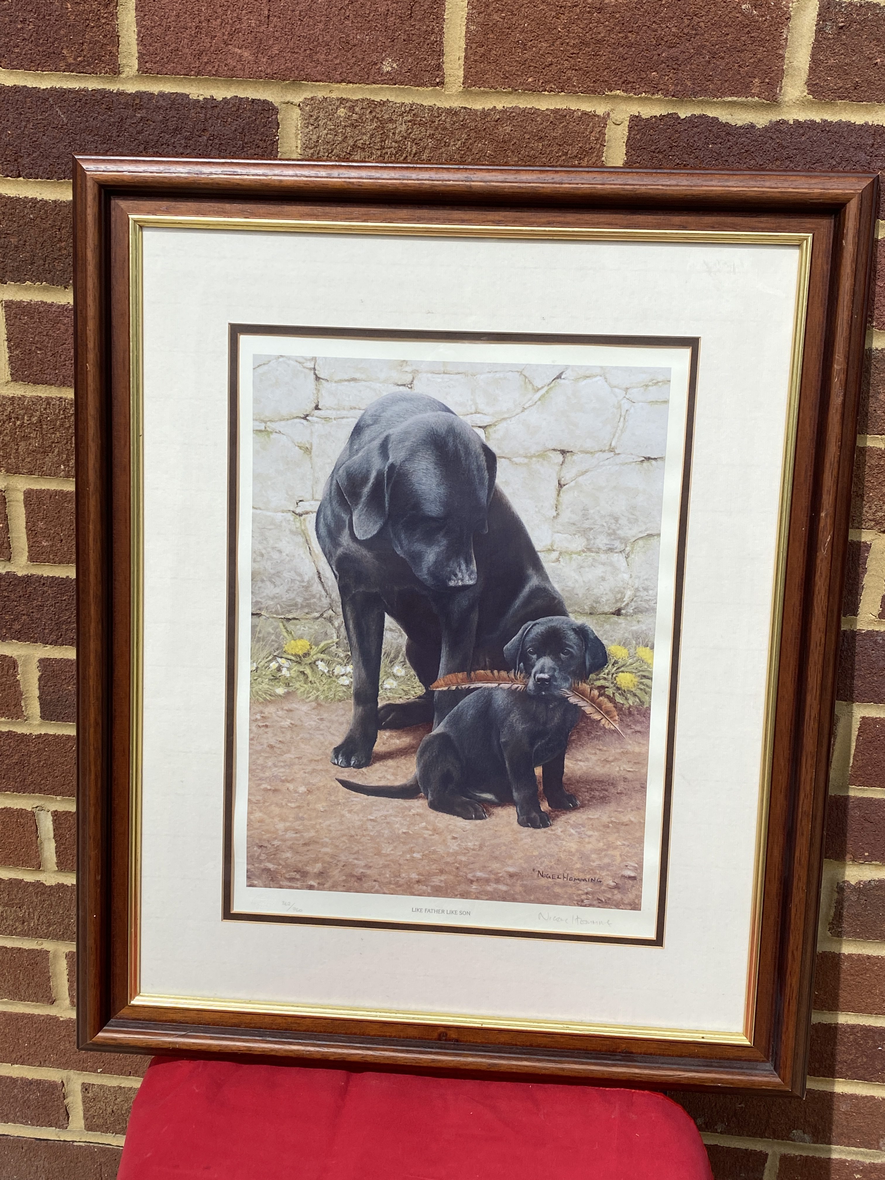 Nigel hemming limited edition framed signed print. Like Father Like son with certificate (1283) - Image 11