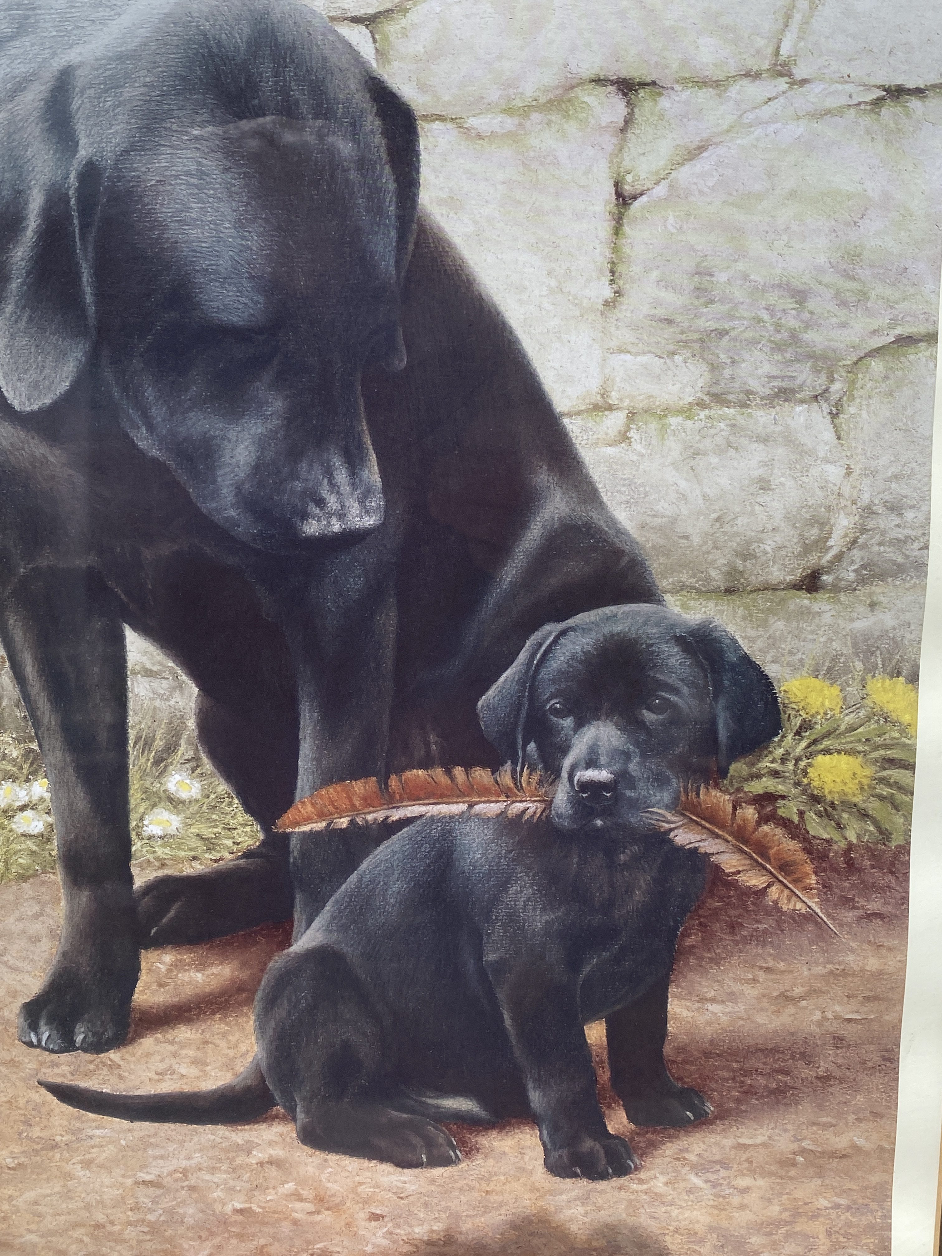 Nigel hemming limited edition framed signed print. Like Father Like son with certificate (1283) - Image 10
