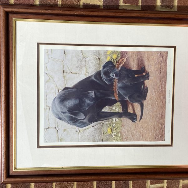 Nigel hemming limited edition framed signed print. Like Father Like son with certificate (1283)