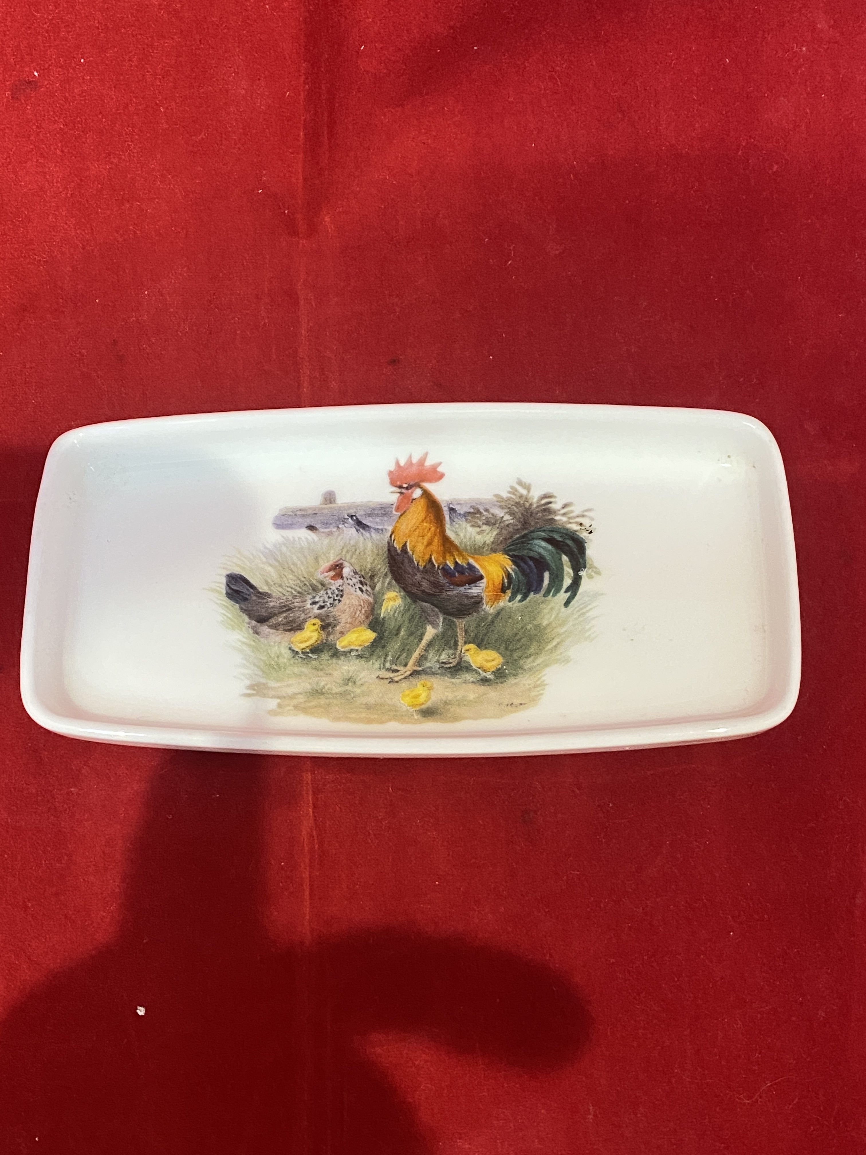 vintage small royal doulton British airways tray ec 1104 (1305)